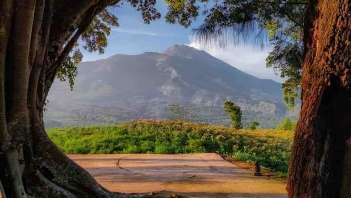 Bukit Cilenguk Boyolali