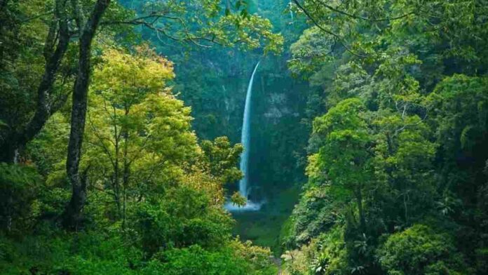 Coban Pelangi Malang