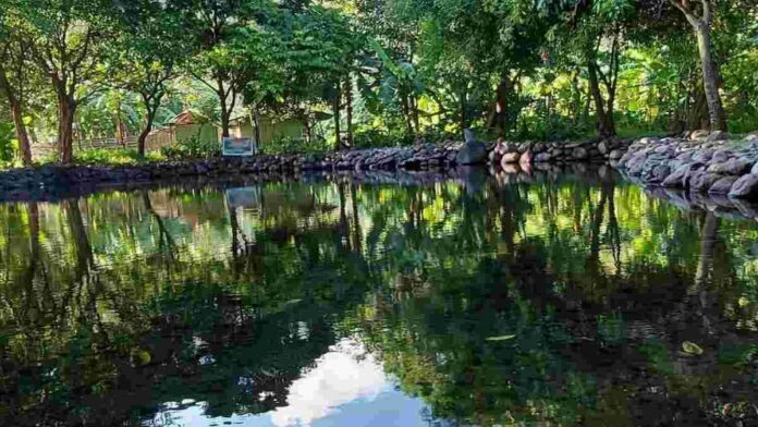 Sumber Krabyakan Malang