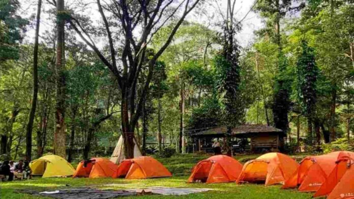 Taman Merak Pujon