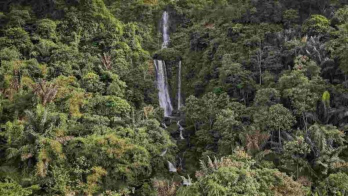 Curug Cikurutug Cianjur