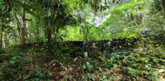 Benteng Gunung sawal