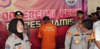 Anak tiri