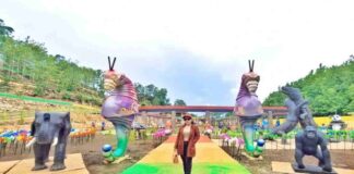 Sadranan Park Jogja