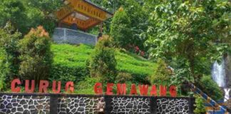 Curug Gemawang Banyumas merupakan sebuah objek wisata alam yang menyuguhkan keindahan air terjun dengan kolam biru toscanya.