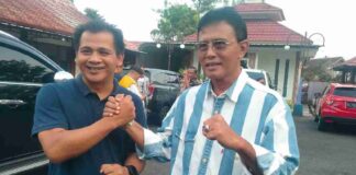 Partai Koalisi Ciamis