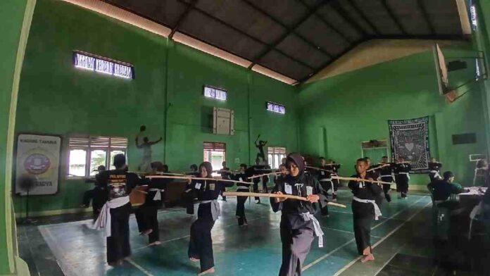 Pesilat PSHT Ciamis