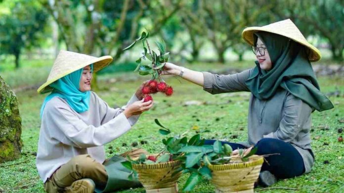 Wisata Petik Buah Inagro