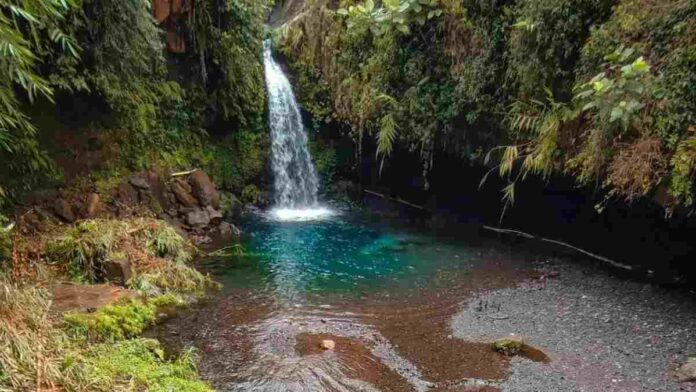 Curug Kanesia Baturraden