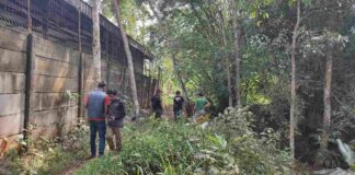 Warga tersambar api