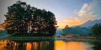 Situ Wanayasa Purwakarta