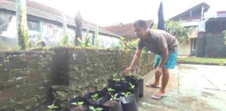 Pemkab Ciamis berupaya untuk mencegah inflasi salah satunya melalui Gerakan Hayu Bertasyakur atau Gerakan Hayu Bertanam Sayur