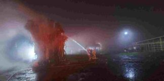 Pohon Beringin Terbakar
