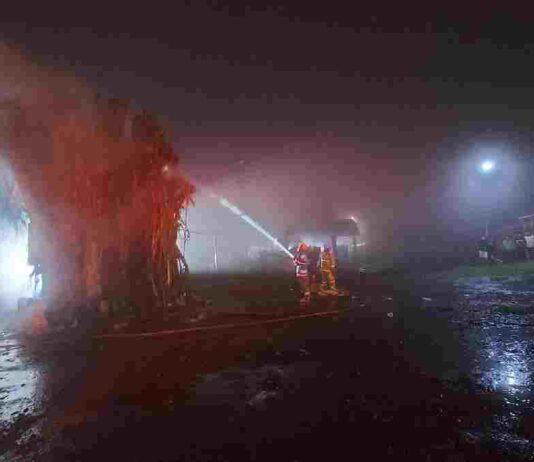 Pohon Beringin Terbakar