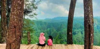 Hutan Pinus Bubulak Tasikmalaya