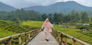 Far Hill Park Bandung