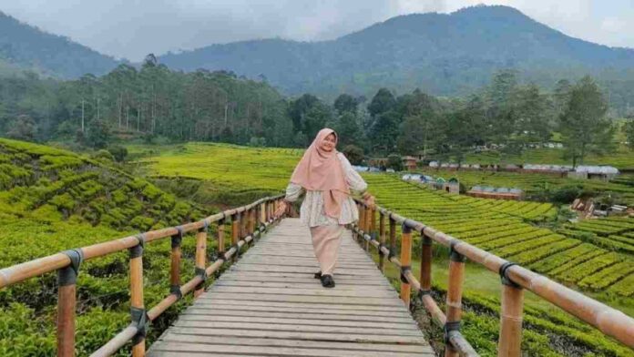 Far Hill Park Bandung