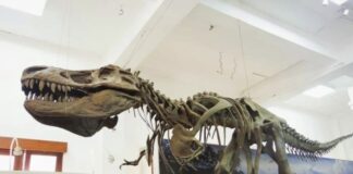 Museum di Jawa Barat