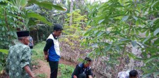 petani pun memanfaatkan sumber air kali yang tersisa untuk mengoptimalkan pengairan lahan menggunakan pompa air untuk menyelamatkan tanaman padi.