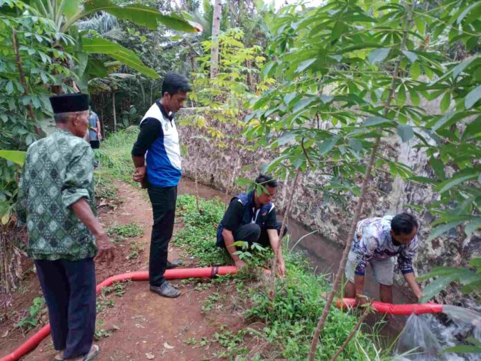 petani pun memanfaatkan sumber air kali yang tersisa untuk mengoptimalkan pengairan lahan menggunakan pompa air untuk menyelamatkan tanaman padi.