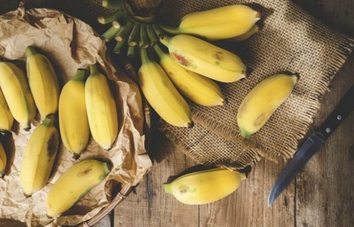 Tingkat Kematangan Pisang