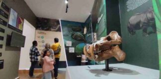 Museum Fosil Tambaksari