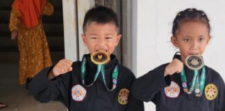 Kejuaraan silat nasional