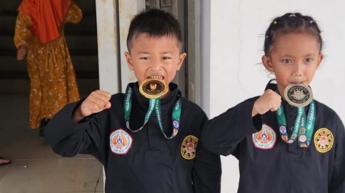 Kejuaraan silat nasional