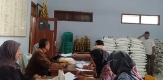 Bantuan Pangan Beras