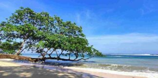 Rekomendasi pantai di Garut