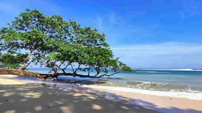 Rekomendasi pantai di Garut