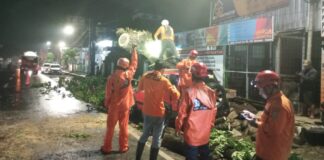 Sebuah pohon tumbang menimpa seorang pengendara motor dan mobil yang sedang terparkir di Jalan Nasional, tepatnya di Jalan Ahmad Yani