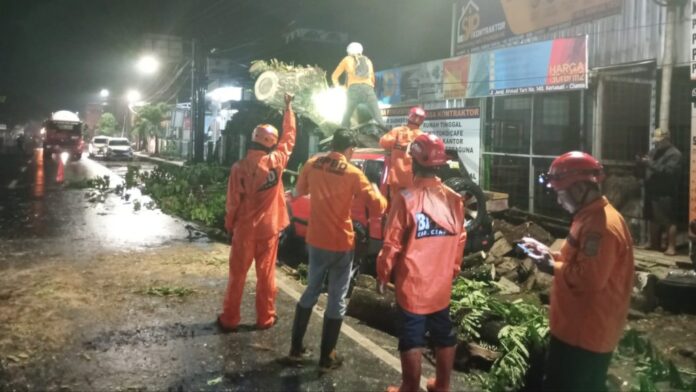 Sebuah pohon tumbang menimpa seorang pengendara motor dan mobil yang sedang terparkir di Jalan Nasional, tepatnya di Jalan Ahmad Yani