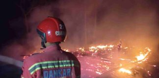Kebakaran Kandang di Ciamis, 3.500 Ayam Tewas, Pemilik Rugi Rp 200 Juta