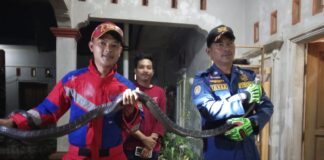 Damkar jurang