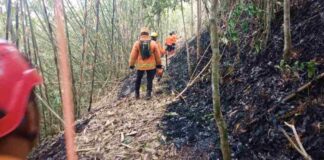 Kebakaran hutan Ciamis