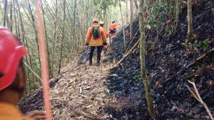 Kebakaran hutan Ciamis