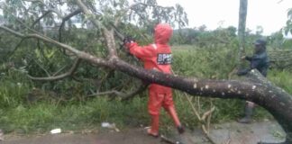 Dampak Cuaca Ekstrem