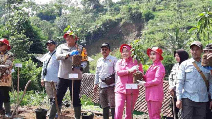 Pekarangan Pangan Bergizi