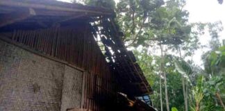 Hujan angin kencang pohon