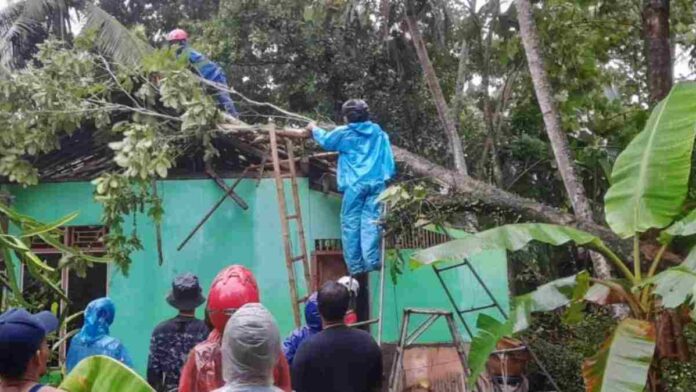 Rumah rusak pohon tumbang