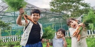 Jendela Alam Bandung