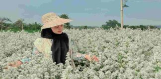 Agrowisata Pakuwon Kuningan