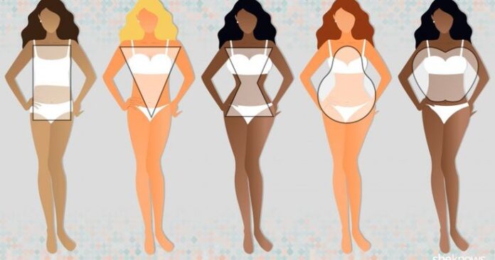 Body Shape Wanita