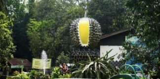 Tempat Wisata Gratis