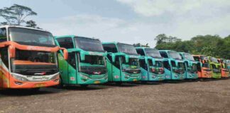 Organda Ciamis Angkutan