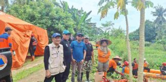 Eceng gondok sungai