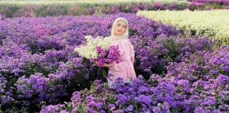 Gia's Grange Lembang