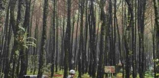 Bukit Senyum Ciwidey