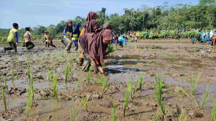 Pemkab Ciamis Dorong Regenerasi Petani Muda demi Ketahanan Pangan